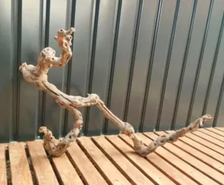 Raíz/tronco Decoración acuario OFERTA SOLO HOY!