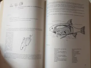 enseñanza por el entorno ambiental