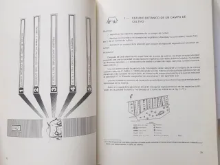 enseñanza por el entorno ambiental