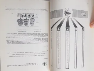 enseñanza por el entorno ambiental