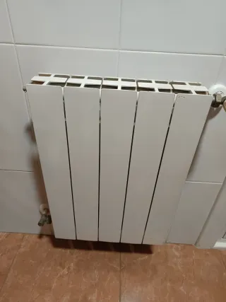 Radiador de agua blanco