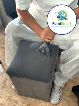 Limpieza profesional de tapicerias y muebles
