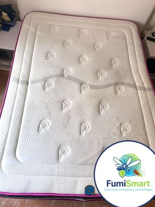 Limpieza profesional de tapicerias y muebles