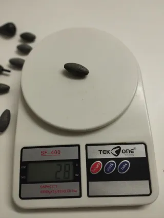 ✅ LOTE DE 21 PLOMOS DE PESCA VARIADOS‼️