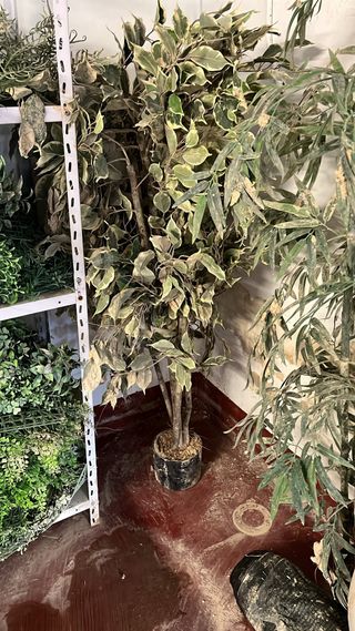 Vallas de madera con hiedra artificial y plantas