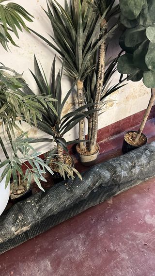 Vallas de madera con hiedra artificial y plantas