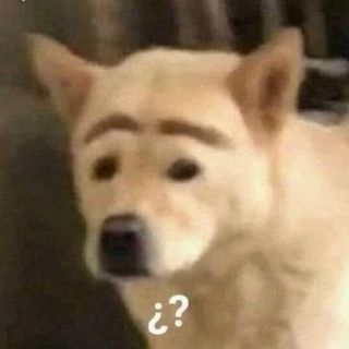 Escape 330d E46 Coupe