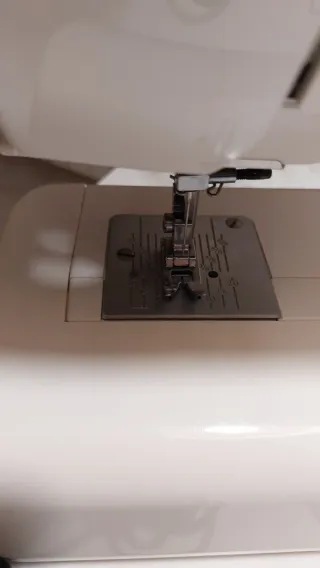 Máquina de coser Elna 1000 Sew Zebra