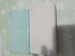 2 Nintendo DS Lite.