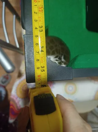 Mesa de billar infantil