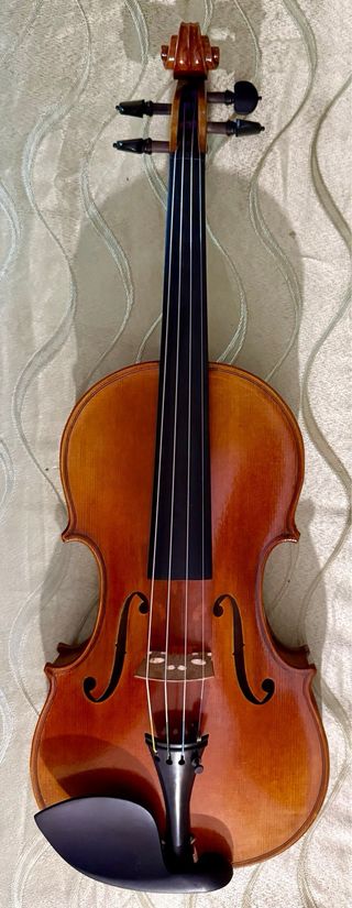 Violino 4/4 Liuteria Certificato