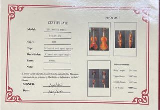 Violino 4/4 Liuteria Certificato