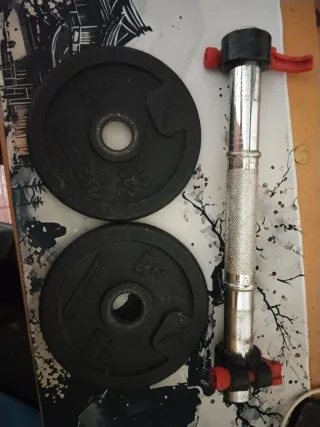 2 Discos de pesa 4,4 libras más mancuerda