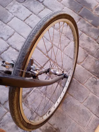 Bicicleta Negra Montaña