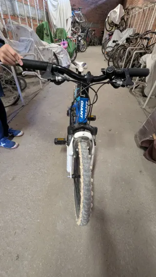 Bicicleta Giant 20 pulgadas - 12 marchas