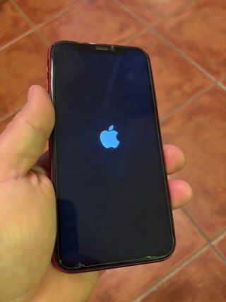iPhone 11 64GB Rojo