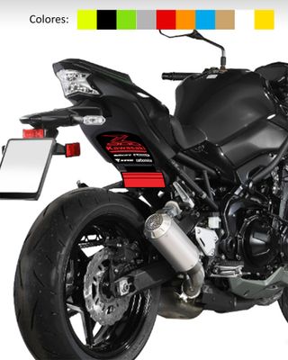 Pegatinas paso de rueda Kawasaki Z900