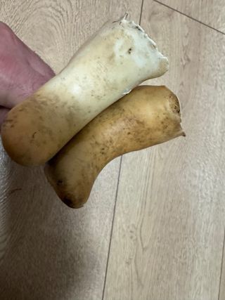 Coppia Leve Shimano 105 BL-1055