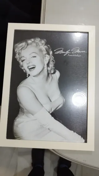 Cuadros Decorativos Marilyn Monroe y Hada