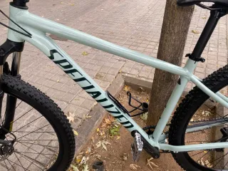 Bicicleta Specialized Mint