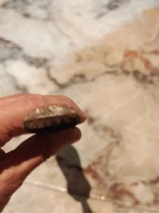 Escofina para madera grande