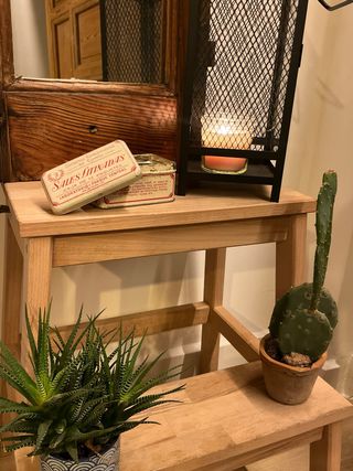 Antigua lata coleccionable Sales Litinadas