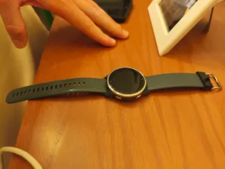 Garmin Venu Negro Smartwatch