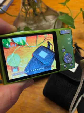 Cámara Sony Cyber-shot Carl Zeiss Verde