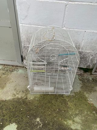 Jaula para pájaros blanca