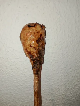 Bastón Acebuche Piel Colección