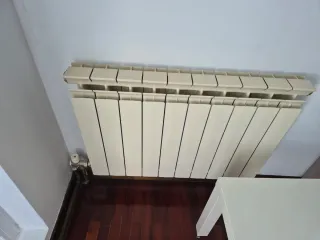 Radiador de gas metal