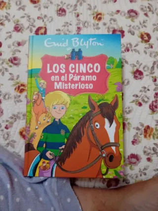 Libro Los cinco en el Páramo Misterioso