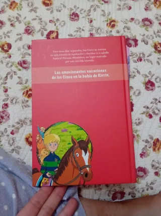 Libro Los cinco en el Páramo Misterioso