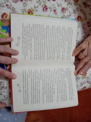 Libro Los cinco en el Páramo Misterioso