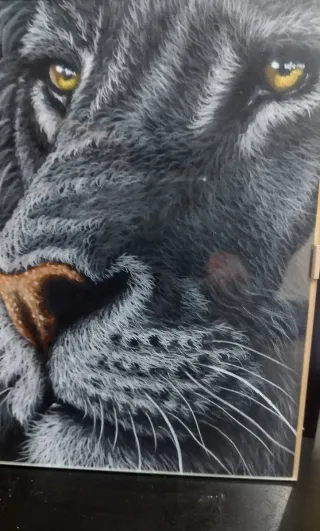 Cuadro León a mano en cartulina negra