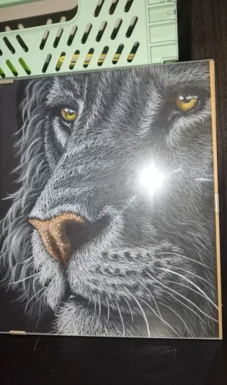 Cuadro León a mano en cartulina negra