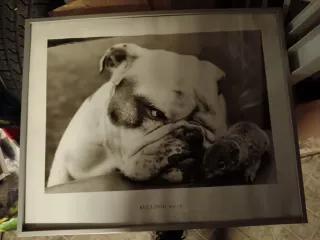 Vari quadri e stampe comprendono cornice