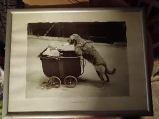 Vari quadri e stampe comprendono cornice