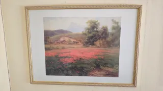 Cuadros rústicos antiguos