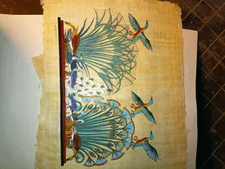 Papiri direttamente dall'Egitto