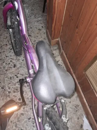 Bicicleta infantil morada