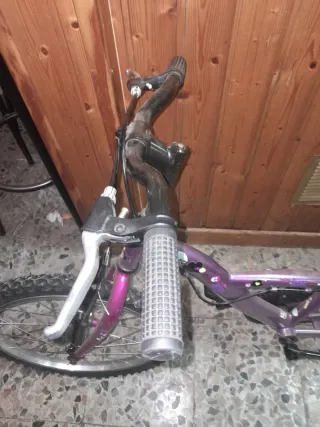 Bicicleta infantil morada
