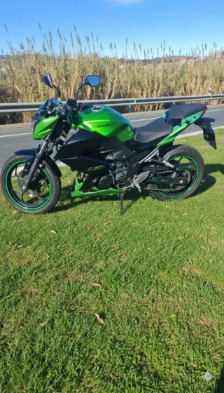 Kawasaki Z300 Verde