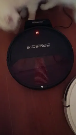 2 Robots Aspirador Rowenta