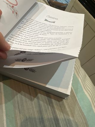 Un amor de diciembre: Una novela de adviento