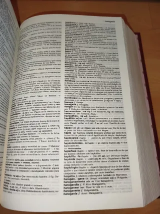 Diccionario Lengua Española