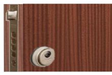 PUERTA SEGURIDAD SAPELLY - SAPELLY