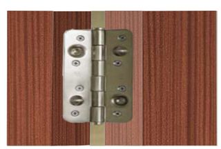 PUERTA SEGURIDAD SAPELLY - SAPELLY