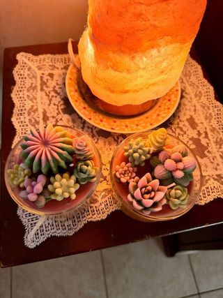 Candela vaso piante grasse fatta a mano