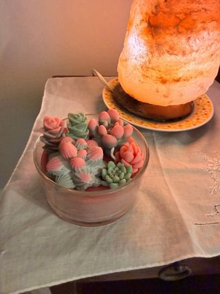 Candela vaso piante grasse fatta a mano